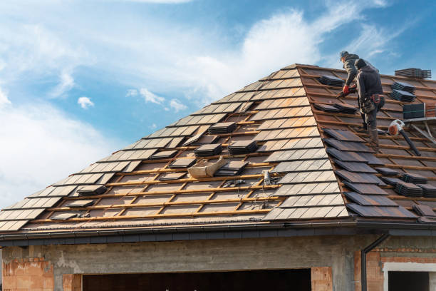 Best Roof Insulation Installation  in Belding, MI