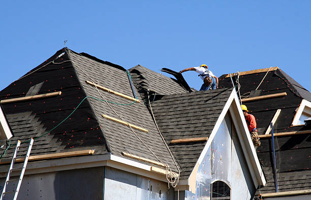 Best Roof Moss and Algae Removal  in Belding, MI