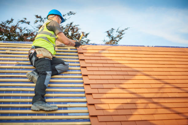 Best Metal Roofing Installation  in Belding, MI